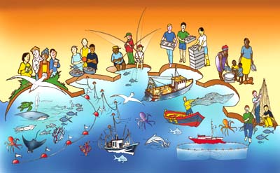 ecosystem approach to fisheries EAF